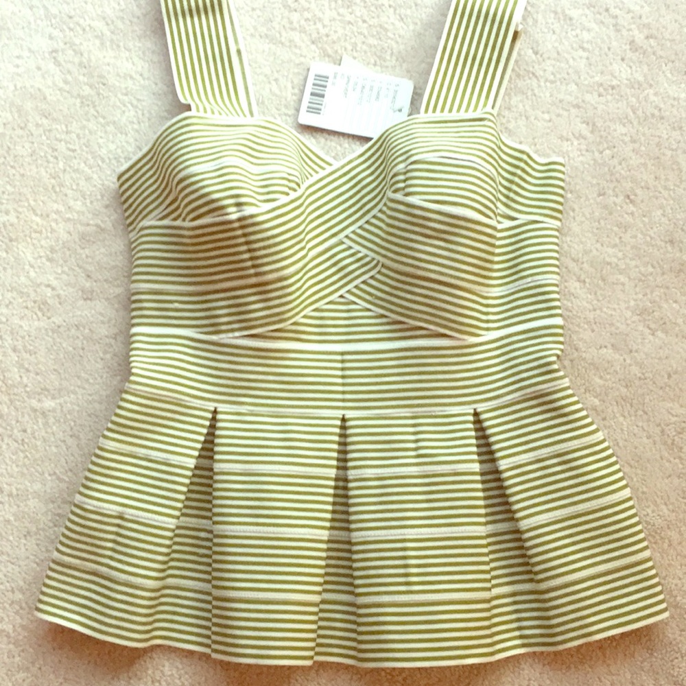 Anthropologie HD in Paris Corset top Not worn